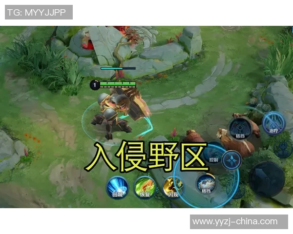 王者荣耀战术解析：IG边路渗透策略与执行全揭秘