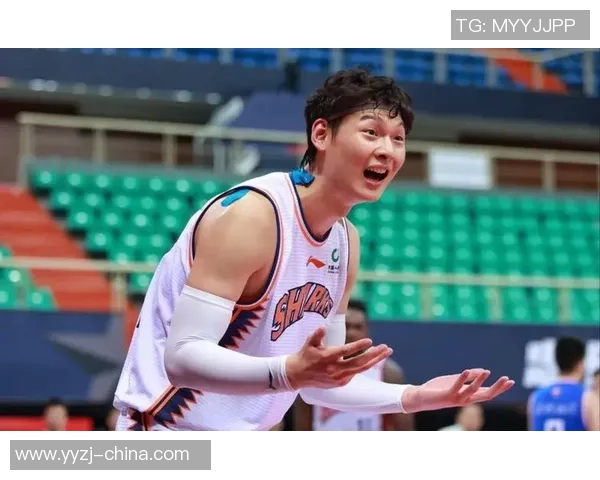 王哲林在CBA赛场的崛起与挑战解析，展望未来篮球生涯的无限可能性